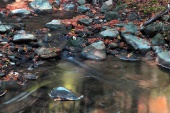 counterIMG_2949.jpg